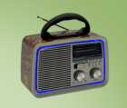 RADIO PORTATIL ECOPOWER EP-F121B AM/FM/USB BROWN