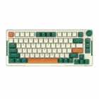 TECLADO ROYAL MECANICO RK-H81 RGB S/F TIMING MACH SWITCH BROWN