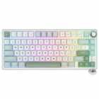 TEC ROYAL MEC C/F R75 RGB SKY CYAN SW SILVER PT