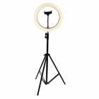 TRIPODE LED ANULAR SATE A-MK04 RING LIGHT 10